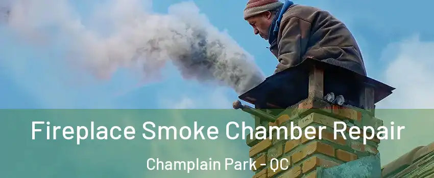  Fireplace Smoke Chamber Repair Champlain Park - QC
