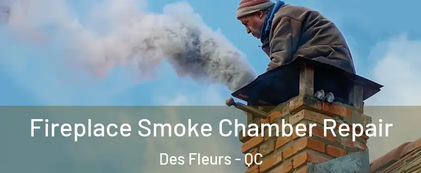  Fireplace Smoke Chamber Repair Des Fleurs - QC