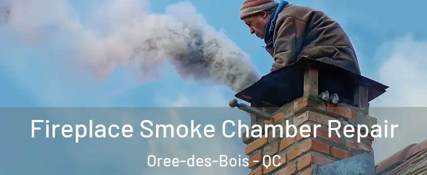  Fireplace Smoke Chamber Repair Oree-des-Bois - QC