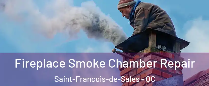  Fireplace Smoke Chamber Repair Saint-Francois-de-Sales - QC