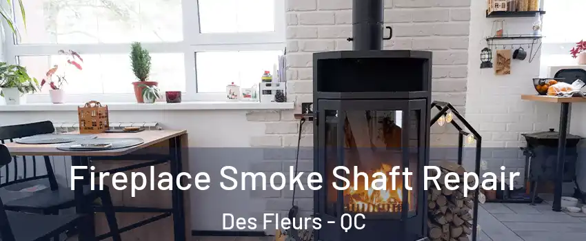  Fireplace Smoke Shaft Repair Des Fleurs - QC