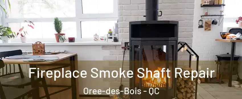  Fireplace Smoke Shaft Repair Oree-des-Bois - QC