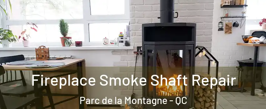  Fireplace Smoke Shaft Repair Parc de la Montagne - QC