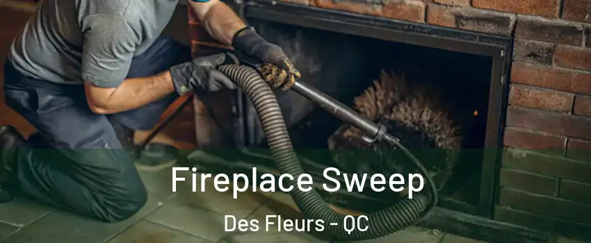  Fireplace Sweep Des Fleurs - QC