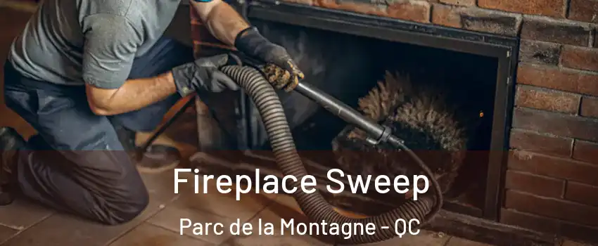  Fireplace Sweep Parc de la Montagne - QC