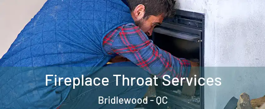  Fireplace Throat Services Bridlewood - QC