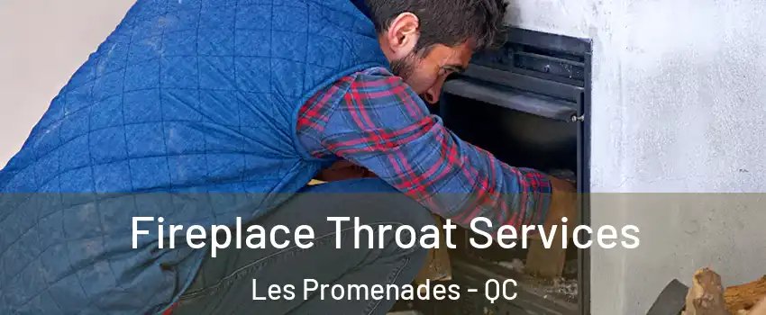  Fireplace Throat Services Les Promenades - QC