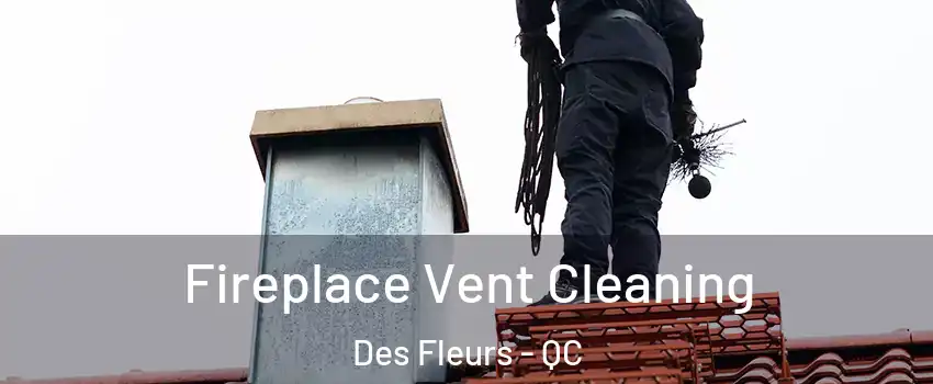  Fireplace Vent Cleaning Des Fleurs - QC