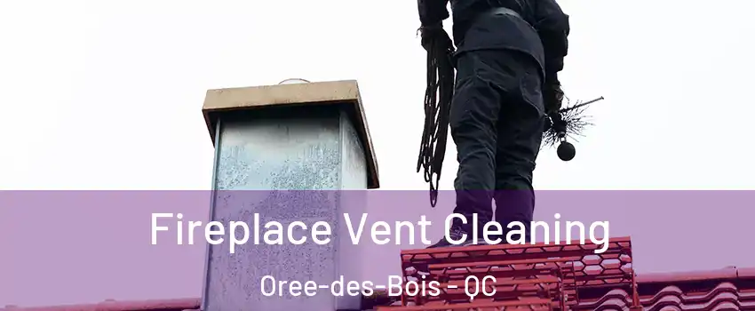  Fireplace Vent Cleaning Oree-des-Bois - QC