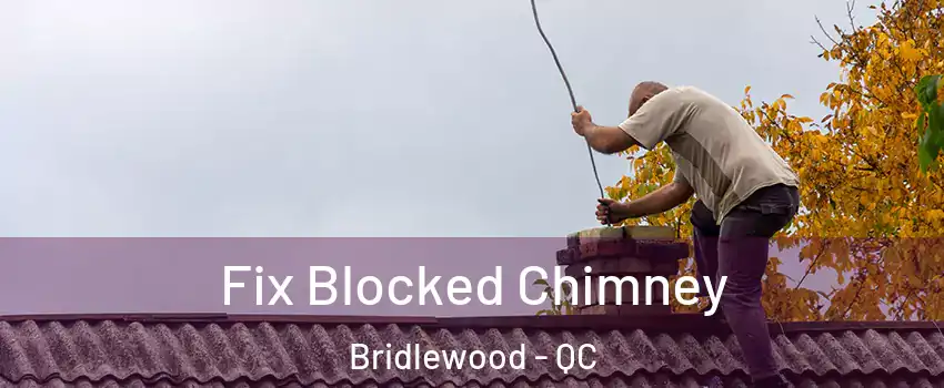  Fix Blocked Chimney Bridlewood - QC