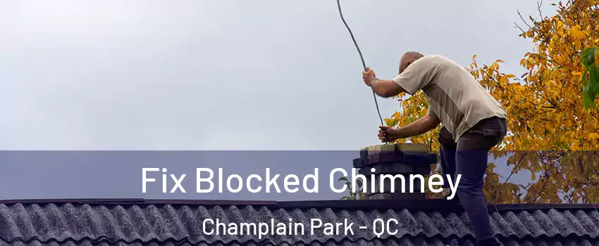  Fix Blocked Chimney Champlain Park - QC