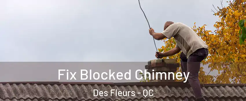  Fix Blocked Chimney Des Fleurs - QC