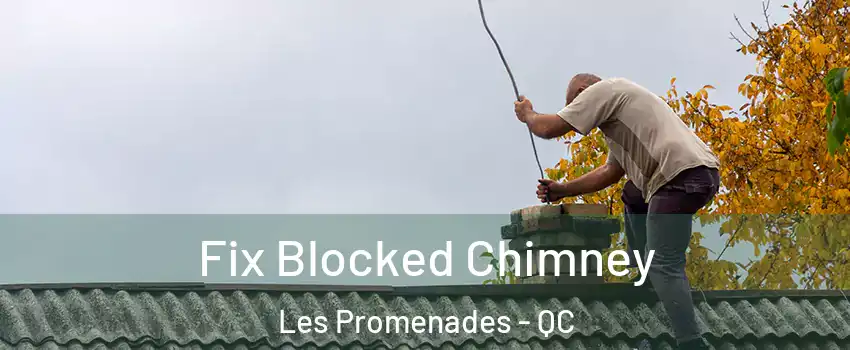  Fix Blocked Chimney Les Promenades - QC