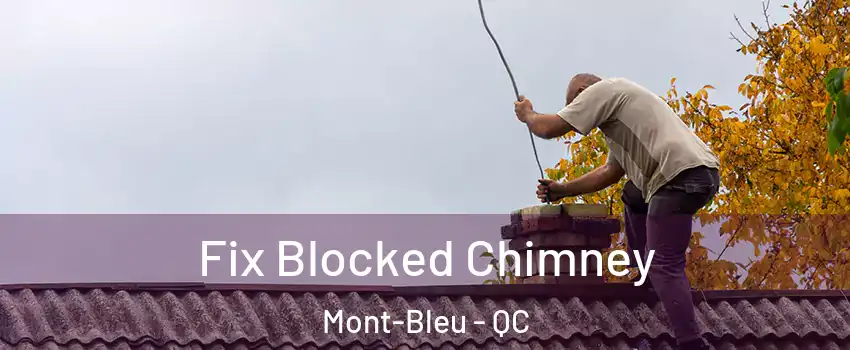  Fix Blocked Chimney Mont-Bleu - QC