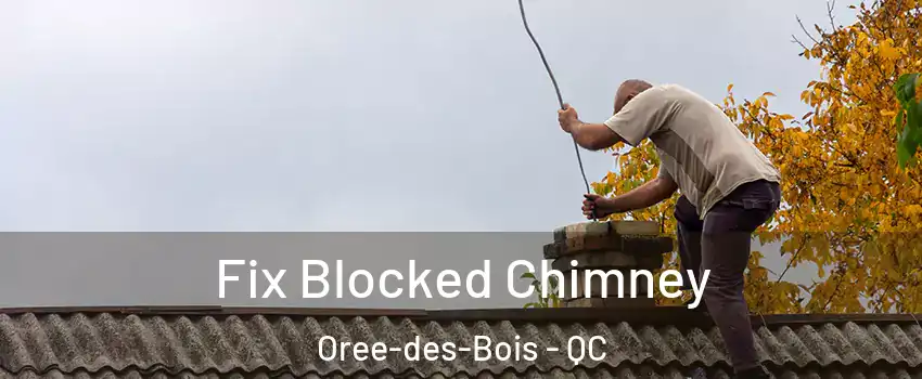  Fix Blocked Chimney Oree-des-Bois - QC