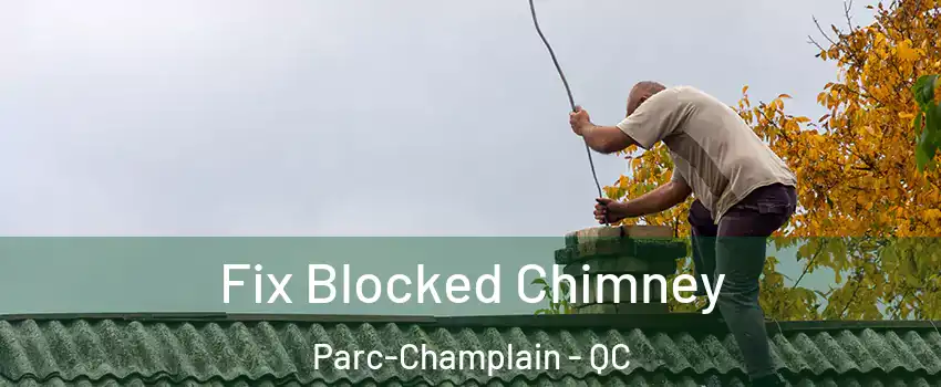  Fix Blocked Chimney Parc-Champlain - QC