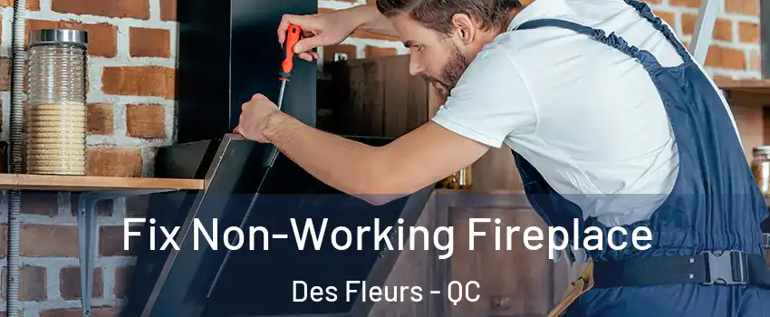  Fix Non-Working Fireplace Des Fleurs - QC