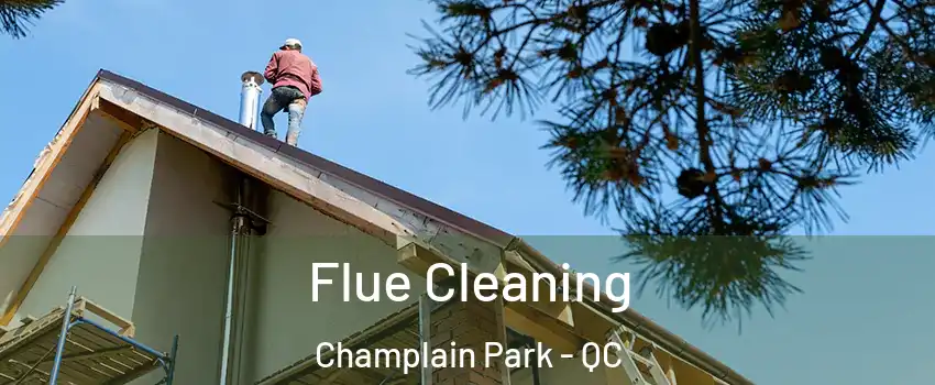  Flue Cleaning Champlain Park - QC