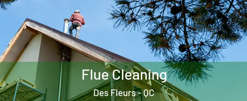  Flue Cleaning Des Fleurs - QC