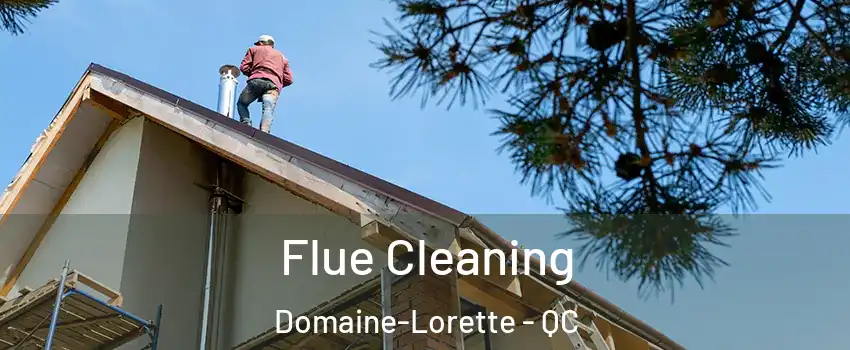  Flue Cleaning Domaine-Lorette - QC
