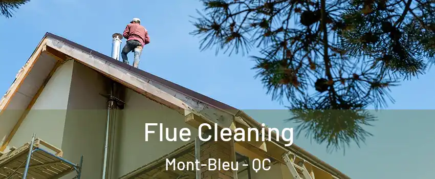  Flue Cleaning Mont-Bleu - QC