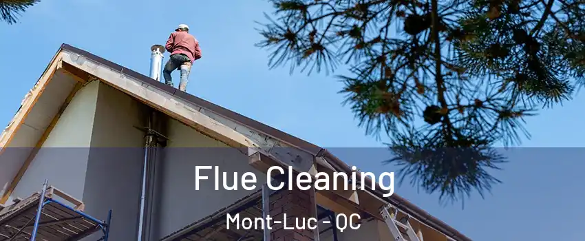  Flue Cleaning Mont-Luc - QC