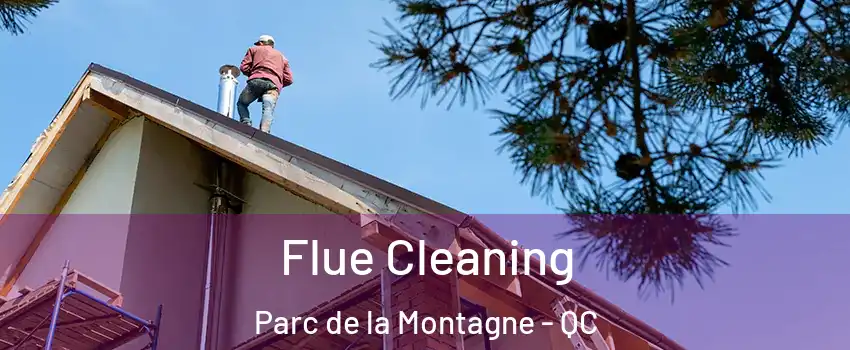  Flue Cleaning Parc de la Montagne - QC