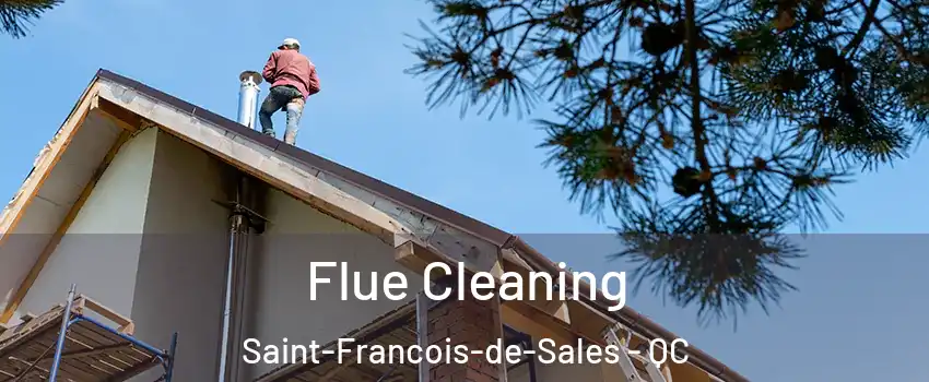  Flue Cleaning Saint-Francois-de-Sales - QC