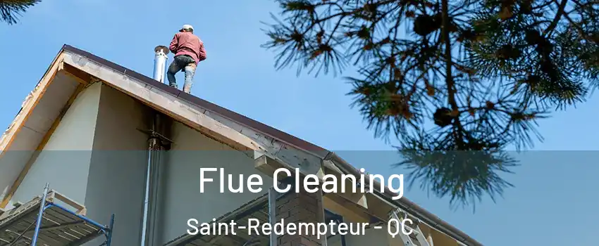  Flue Cleaning Saint-Redempteur - QC