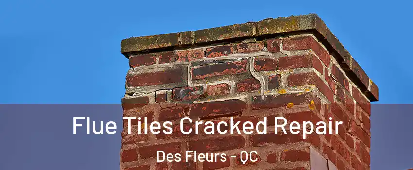  Flue Tiles Cracked Repair Des Fleurs - QC