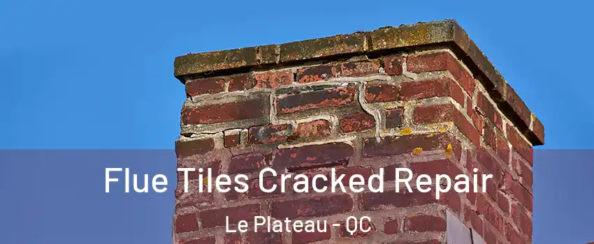  Flue Tiles Cracked Repair Le Plateau - QC