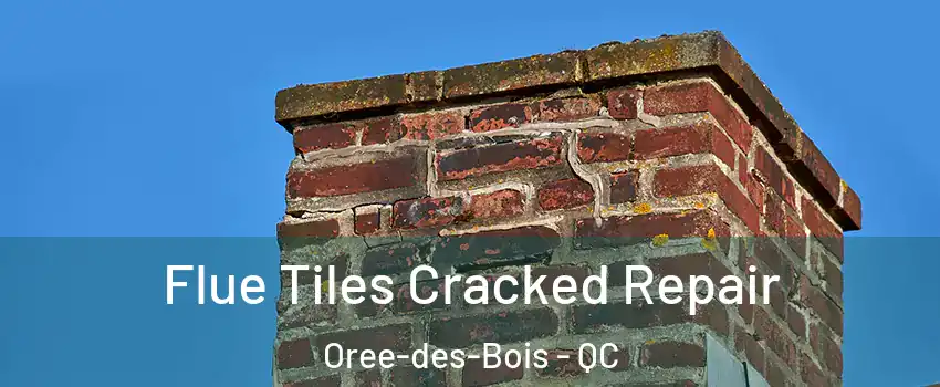  Flue Tiles Cracked Repair Oree-des-Bois - QC