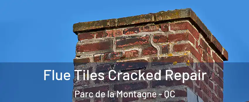  Flue Tiles Cracked Repair Parc de la Montagne - QC