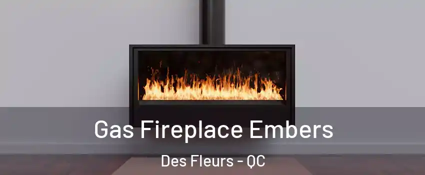  Gas Fireplace Embers Des Fleurs - QC
