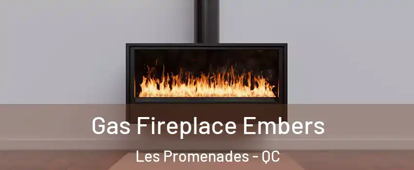  Gas Fireplace Embers Les Promenades - QC