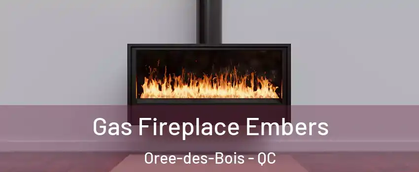  Gas Fireplace Embers Oree-des-Bois - QC