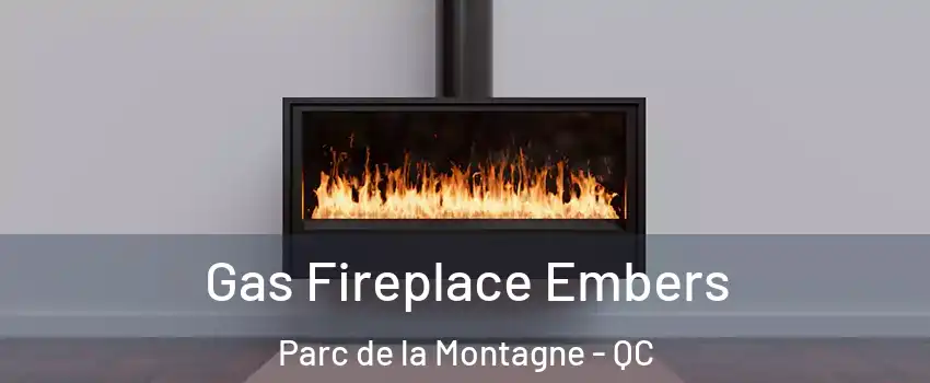  Gas Fireplace Embers Parc de la Montagne - QC
