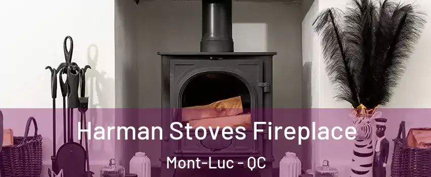  Harman Stoves Fireplace Mont-Luc - QC