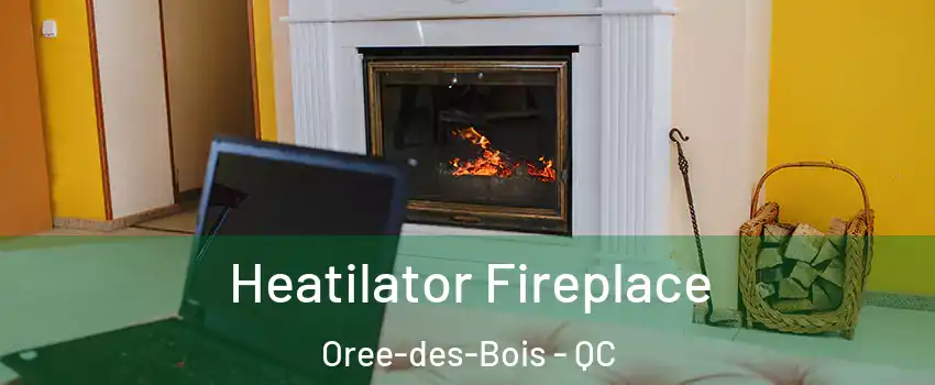  Heatilator Fireplace Oree-des-Bois - QC