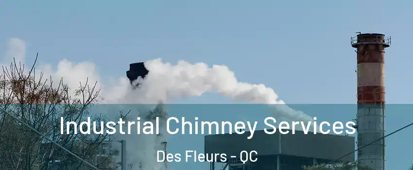  Industrial Chimney Services Des Fleurs - QC