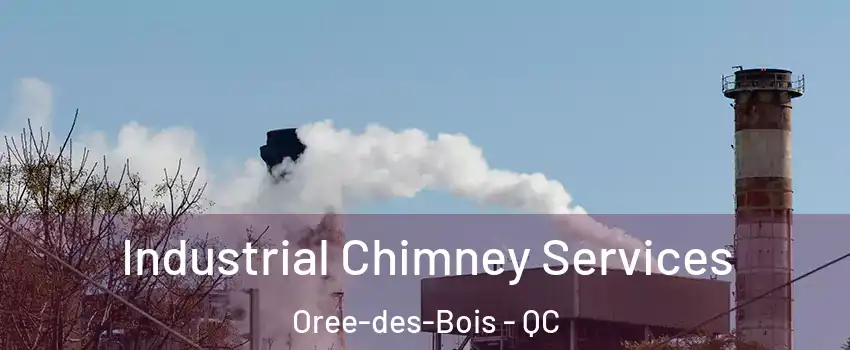  Industrial Chimney Services Oree-des-Bois - QC