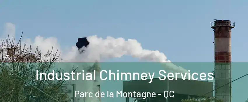  Industrial Chimney Services Parc de la Montagne - QC