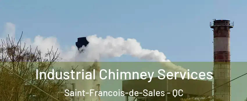  Industrial Chimney Services Saint-Francois-de-Sales - QC