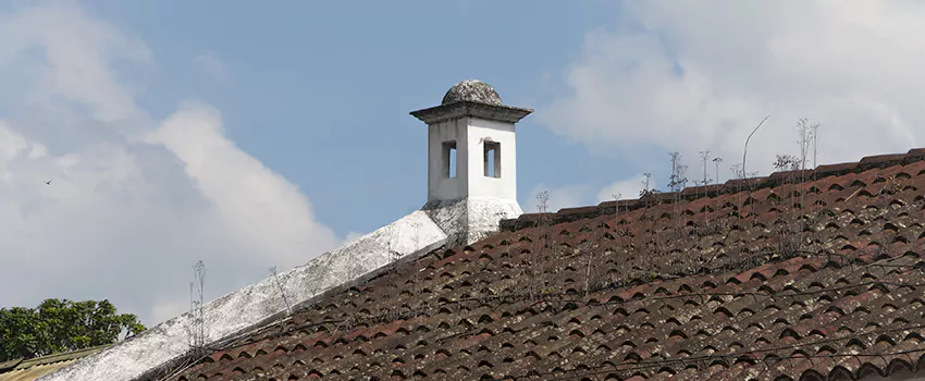 Wind-Resistant Chimney Caps Installation and Repair Services in Hull, Quebec