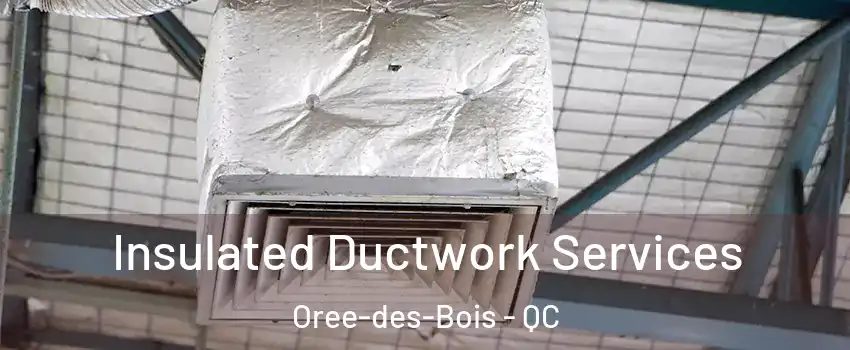  Insulated Ductwork Services Oree-des-Bois - QC