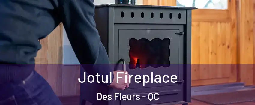  Jotul Fireplace Des Fleurs - QC