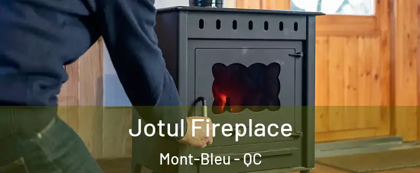  Jotul Fireplace Mont-Bleu - QC