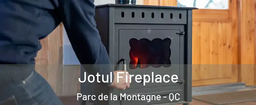  Jotul Fireplace Parc de la Montagne - QC