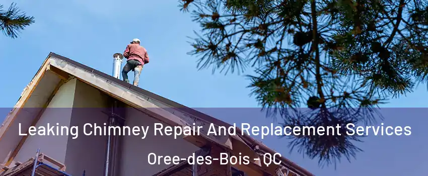  Leaking Chimney Repair And Replacement Services Oree-des-Bois - QC