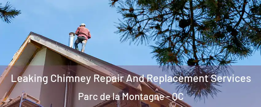  Leaking Chimney Repair And Replacement Services Parc de la Montagne - QC